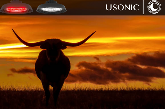 night simulator fixture Field Guide: 4 Key Welfare Wins from Continuous Herd Monitoring