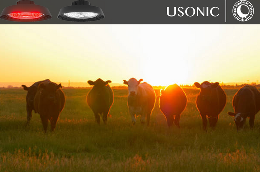 How Can 1 night simulator fixture Save $2,000 in Vaccine Costs?