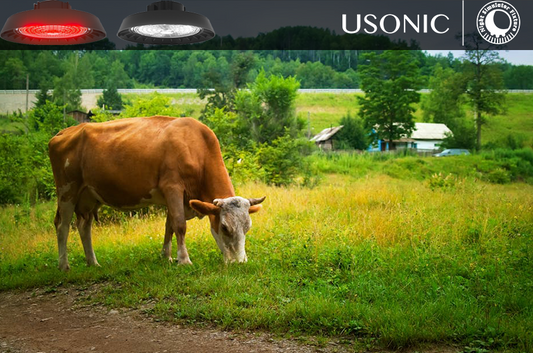 Will your cow day-night lighting system hold up during heavy rains?