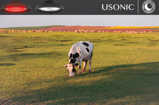 Autumn Drying Plan: Prepare Now for 33% More Milk