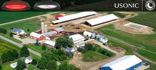 How Efficient Lighting for Dairies is Transforming Modern Dairy Operations: The Red-White Spectrum Advantage