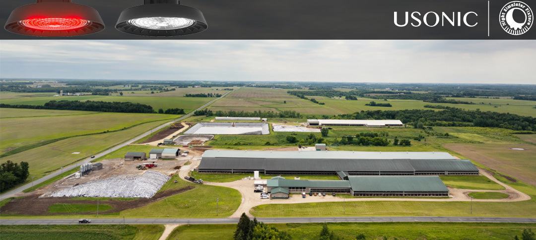 Fun Facts from Dairy Farms: Quirky Tales and Surprising Discoveries