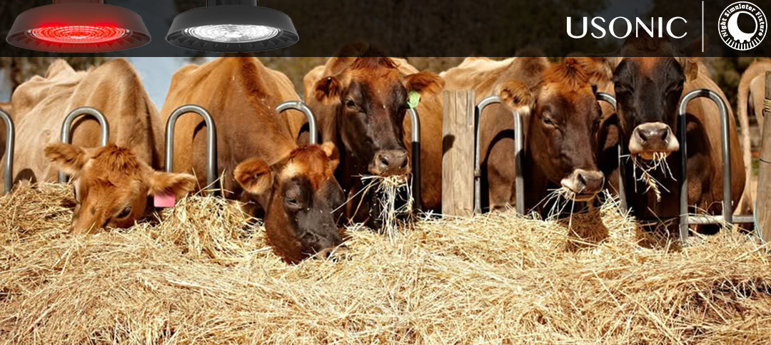 USONIC Dairy Barn Smart Lighting Systems: UL and DLC Certified for Safety and Efficiency