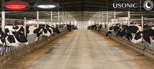 Enhancing Dairy Farm Productivity with USONIC  Nighttime Simulator (Cow Farm Lighting System: NIGHT SIMULATOR FIXTURE )