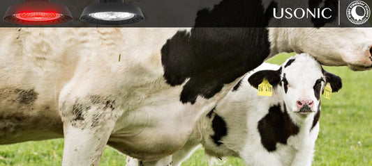 Photoperiod Control for Cows: The Silent Yield Manager Boosting Dairy Farm Profits by 5-16%