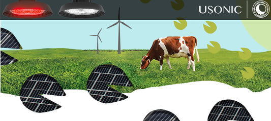 Navigating the Complex Waters of the Global Dairy Market