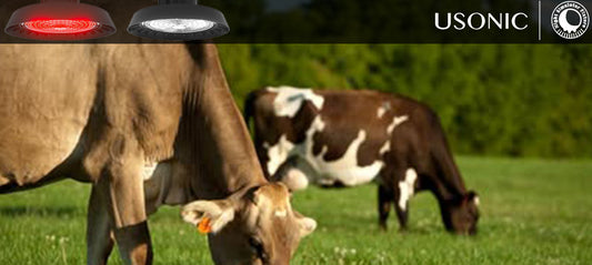Illuminating the Future: Night Simulator Fixtures and the Dawn of Smart Agriculture