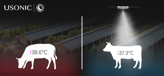 Why Ordinary LEDs Can't Get Subsidies: A Comprehensive Guide to DLC V2.0 Certification for Advanced Lighting Technologies for Cows