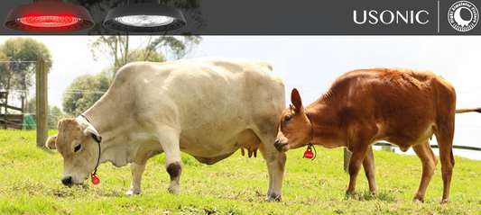 Farms realize the benefits of zoned lighting