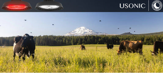 The Science-Backed Night Simulator Fixture for Enhancing Cow Health,Milk Production and Energy Savings