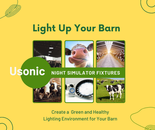 Good Lighting Can Change How Cows Feel