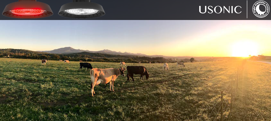 California rancher says: Red and white lights let me hire one less night shift worker