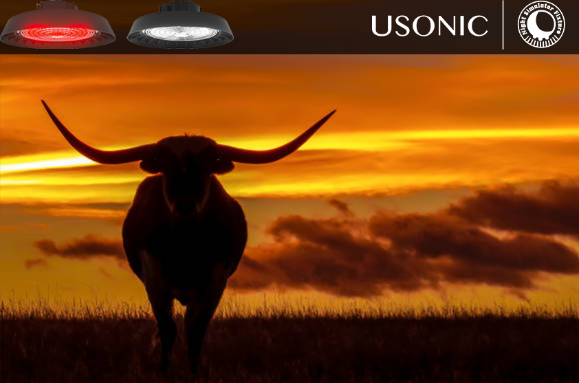 night simulator fixture Field Guide: 4 Key Welfare Wins from Continuous Herd Monitoring