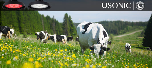 Lighting Management KPI Manual:  4 Data Points Monitored by Top-Performing Ranches night simulator fixture