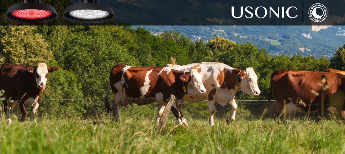 The Lighting Factor, a Neglected Aspect in Hoof Disease Prevention