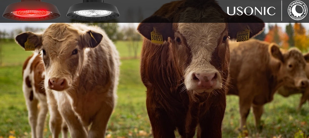 USONIC INC Unveils Revolutionary Night Simulator Fixture for Dairy Farms: A Leap Forward in Cow Health and Farm Efficiency