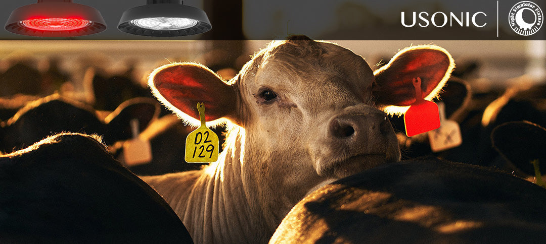 USONIC Smart Lighting System: Illuminating Efficiency for Farm Owners