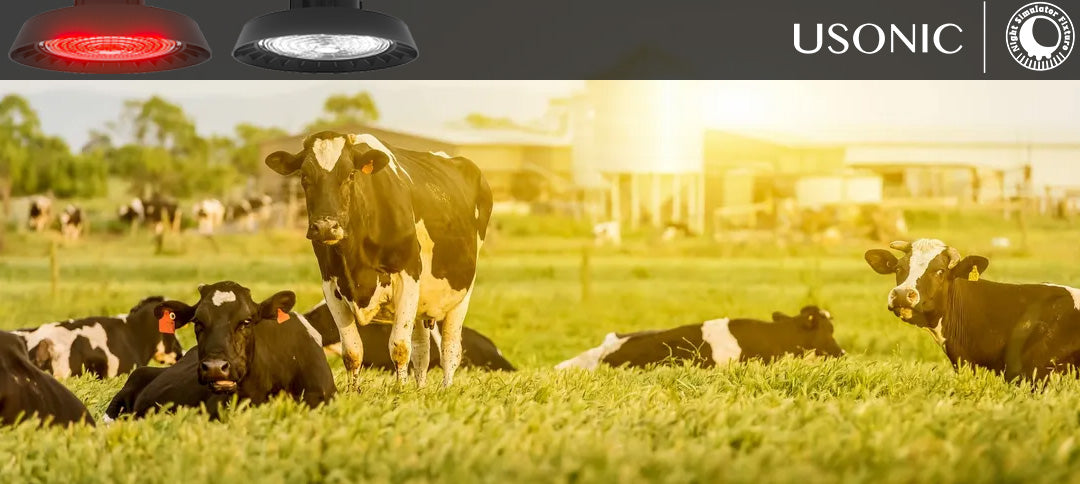 Transforming Dairy Farming with the USONIC Night Simulator Fixture: Enhancing Cow Health and Productivity