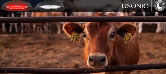 8 Frequently Asked Questions About Dairy Sustainability