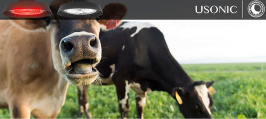 USONIC Cow light timer for milk production