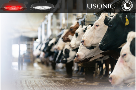 USONIC Automatic lighting for dairy farms