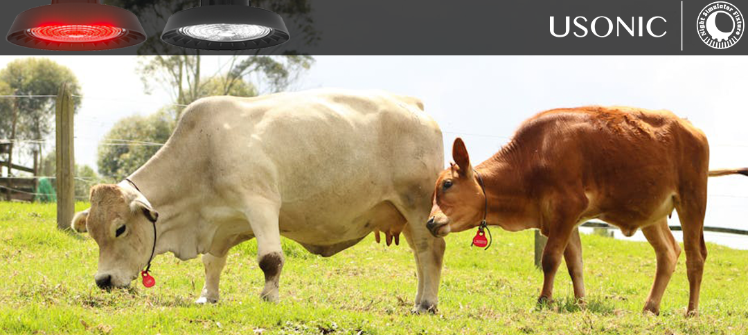 Farms realize the benefits of zoned lighting