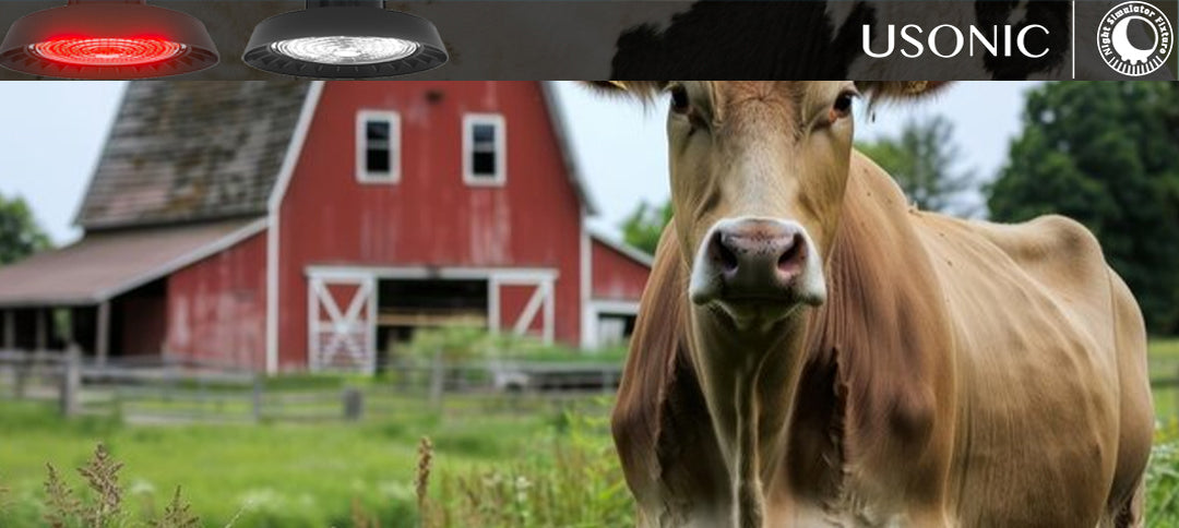 Top 5 Benefits of LED Barn Lighting Systems for Dairy Operations