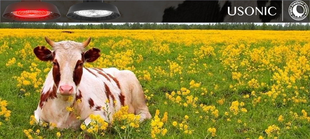 USONIC Unveils Comprehensive Ranch Lighting Ecosystem, Redefining Modern Dairy Farming Standards