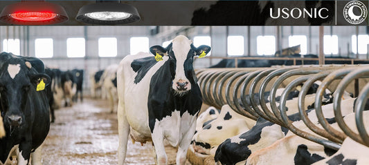 Why IP65 Red-White Fixtures Are Built for Harsh Dairy Barn Environments