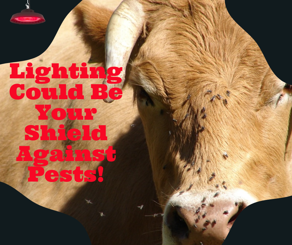 Lighting Solution Could Be Your Shield Against Farm Pests!