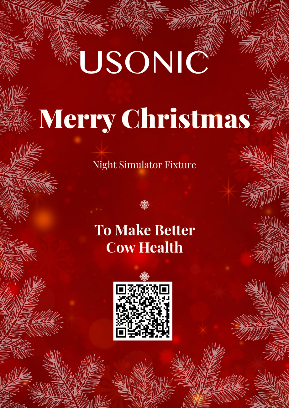 Merry Christmas!
