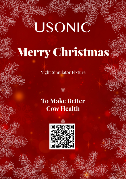 Merry Christmas!