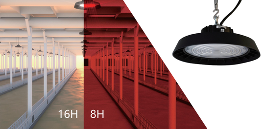 Precision Feeding Companion: How Can Lighting Enhance TMR Conversion Rates?